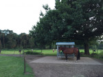 Paddock Paradise